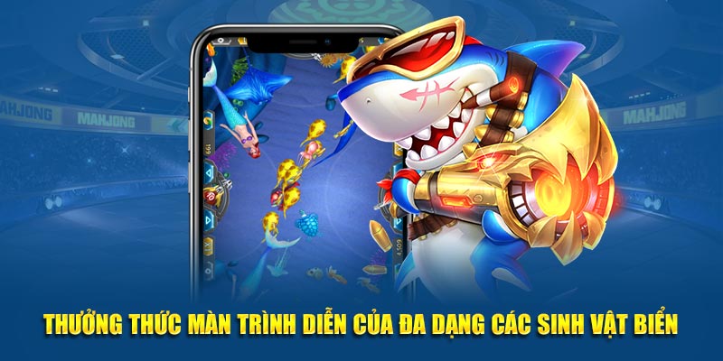 Thưởng thức màn trình diễn của đa dạng các sinh vật biển